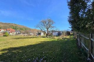 Grundstück zu kaufen in 09350 Lichtenstein, Großzügiges Grundstück mit Weitblick und Entwicklungspotenzial in Lichtenstein