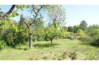 Grundstück zu kaufen in 15569 Woltersdorf, Perfekt zum Bauen: Großzügig geschnittenes Grundstück in ruhiger Ortslage mit viel Grün!