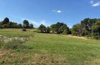 Grundstück zu kaufen in 63150 Heusenstamm, **** Voll erschlossenes Grundstück mit aufstehendem EFH in ruhiger Zentrumslage