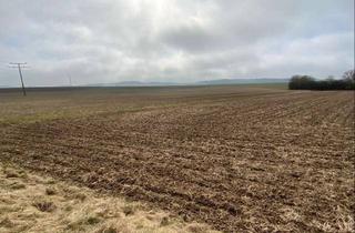 Immobilie kaufen in 85110 Kipfenberg, Landwirtschaftliches Objekt in Kipfenberg - Ackerland im Herzen des Naturparks Altmühltal