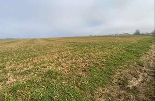 Immobilie kaufen in 85110 Kipfenberg, Landwirtschaftliches Objekt in Kipfenberg - Ackerland im Naturpark Altmühltal