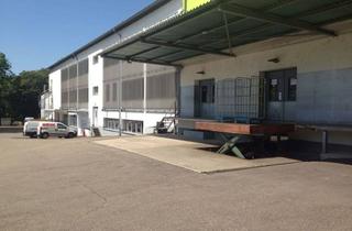 Gewerbeimmobilie mieten in Rheinstr. 201, 76532 Oos, verkehrsgünstige Lagerräume klimatisiert für 500 Euro/Monat