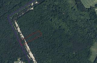 Gewerbeimmobilie kaufen in 16567 Mühlenbeck, attraktives Forstgrundstück im Waldgebiet Bieselheide