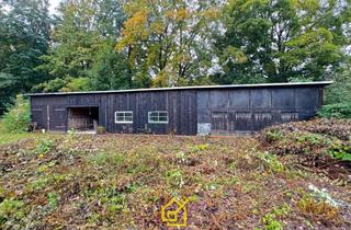 Gewerbeimmobilie kaufen in 08294 Lößnitz, Vielseitig nutzbares Gewerbegrundstück mit Lagerhalle