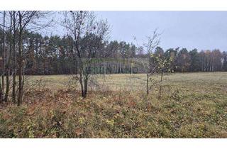 Gewerbeimmobilie kaufen in 16835 Lindow (Mark), *Waldgrundstücke unweit vom Wasser zu verkaufen!*