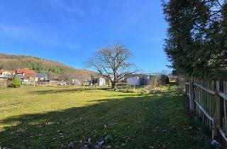 Grundstück zu kaufen in 09350 Lichtenstein, Großzügiges Grundstück mit Weitblick und Entwicklungspotenzial in Lichtenstein