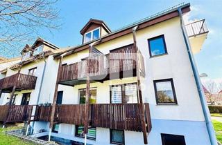 Wohnung kaufen in 34132 Kassel, Kompaktes Apartment BJ 1991 im Souterrain in ruhiger Wohnanlage