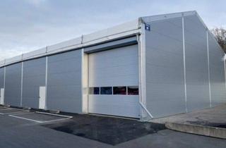 Geschäftslokal mieten in 56593 Horhausen, Halle zu vermieten - hohe Deckenhöhe - Industriepark Horhausen ab sofort frei! Lager/ Werkstatt!