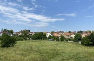 Wohnung mieten in Billingshäuser Straße, 97857 Urspringen, attraktive, helle 5,5 Zi-Whg, Bezug nach Sanierung, unverbaubare Aussicht, provisionsfrei