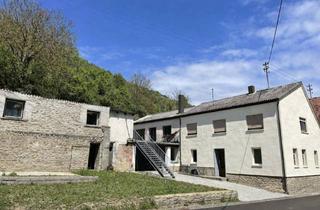 Wohnung mieten in Hauptstrassse 52, 55592 Raumbach, Großzügige 6-Zimmer-Wohnung mit Terrasse und riesigem Garten - naturnah bei Meisenheim