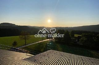 Wohnung mieten in 59955 Winterberg, 58 m² - Effizienzhaus - Erstbezug - Balkon - Aufzug - Sauna - Luftkurort - Rothaargebirge