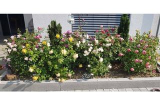 Einfamilienhaus kaufen in 88356 Ostrach, Neuwertiges Einfamilienhaus (BJ 2021), massiv, modern, durchdacht