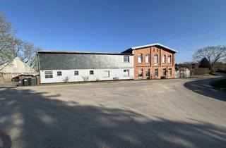 Haus kaufen in 23936 Grevesmühlen, Gr. Wohnhaus mit Pferdestall (6 Boxen), / Paddock Grdst. 2215 m²+ 1,59 ha Pachtwiese in Wölschendorf