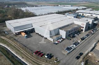 Gewerbeimmobilie mieten in 53332 Bornheim, LEADMANDAT | LOGISTIKFLÄCHEN IN BORNHEIM | MIETE | PROVISIONSFREI | ANGERMANN NRW