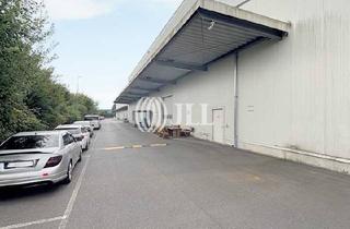 Gewerbeimmobilie mieten in 50126 Bergheim, Logistikfläche | 9,77 m UKB | Rampe+ebenerdige Andienung