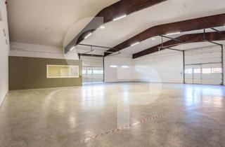 Gewerbeimmobilie mieten in 67117 Limburgerhof, ROLLTORE + BÜRO + SANITÄR: HALLENFLÄCHE IM GEWERBEGEBIET