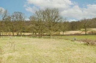 Grundstück zu kaufen in 33803 Steinhagen, Großes Grundstück mit Blick ins unverbaubare Grün!