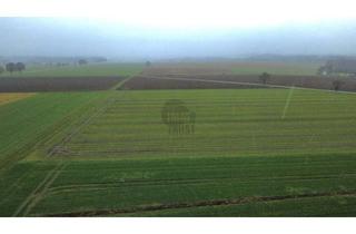 Grundstück zu kaufen in 27211 Bassum, Baugrundstück in Bassum-Neubruchhausen – 1.200 m², teilerschlossen, kein Bauzwang