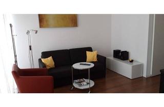 Immobilie mieten in 37671 Höxter, Möbliertes Apartment 32 m² im EG modern eingerichtet, mediterraner Innenhof, ab 06.04.2026 od später