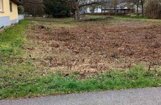 Gewerbeimmobilie kaufen in 79771 Klettgau, Privilegiertes bebaubares Grundstück in Klettgau