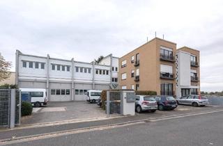 Gewerbeimmobilie kaufen in 65239 Hochheim, Vielseitig nutzbar: Bürohaus mit Hallentrakt und Werkswohnungen