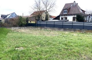 Immobilie kaufen in 76706 Dettenheim, Dettenheim-LiedolsheimBaugrundstück in bester Lage 419m²