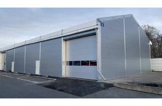 Gewerbeimmobilie mieten in 56593 Horhausen, Halle zu vermieten - hohe Deckenhöhe - Industriepark Horhausen ab sofort frei! Lager/ Werkstatt!