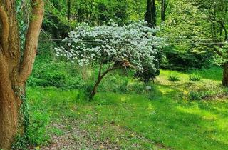 Doppelhaushälfte kaufen in 10115 Berlin, Berlin - Neubau: Energieeffiziente Doppelhaushälften in begehrter Lage von Heiligensee