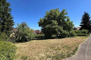 Haus kaufen in 71522 Backnang, Backnang - Mitten in Backnang Moderne und sehr großzügige DHH in reizvoller Lage und mit ruhiger Gartenidylle