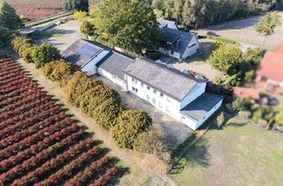 Haus kaufen in 49419 Wagenfeld, Wagenfeld - Arbeiten, Lagern, Vermieten - Ihr Multifunktions-Gewerbeobjekt!