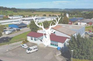 Haus kaufen in 79807 Lottstetten, Lottstetten - Gepflegtes Gewerbeareal in grenznaher Lage von Lottstetten zu verkaufen