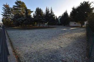 Einfamilienhaus kaufen in 15827 Blankenfelde-Mahlow, Blankenfelde-Mahlow - Baugrundstück für Geschossbau + bestehendem Einfamilienhaus in zentraler Lage in Dahlewitz zu verkaufen!
