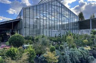 Haus kaufen in 88696 Owingen, Owingen - Gewerbeobjekt mit vielen Möglichkeiten