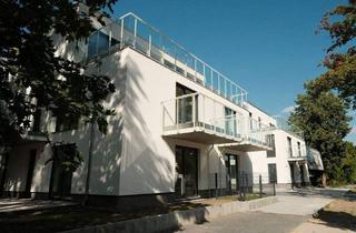 Wohnung kaufen in 14612 Falkensee, Falkensee - 3-Zimmer Wohnung im Erdgeschoss mit Garten im Neubau! Erstbezug