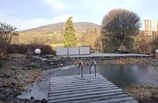 Haus kaufen in 36142 Tann, Tann - Tann-Lahrbach 2Familienhaus + Einliegerappartement + ausgebautem Dachgeschoss + Riesencarport + Schwimmteich !