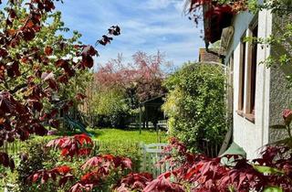 Mehrfamilienhaus kaufen in 79588 Wintersweiler, Wintersweiler - Mehrfamilienhaus in einem ehemaligen Schulgebäude mit Anbau