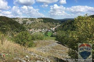 Haus kaufen in 91804 Mörnsheim, Mörnsheim - Alleinlage Naturpark Altmühltal Wohnen - Arbeiten - Lagern - Vermieten