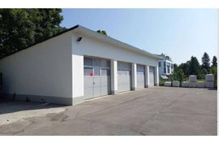 Haus kaufen in 86825 Bad Wörishofen, Bad Wörishofen - Gewerbeimmobilie mit vielen Möglichkeiten