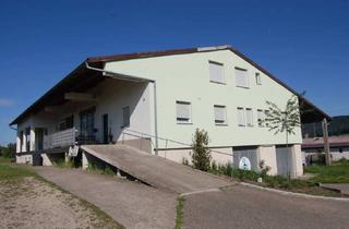 Haus kaufen in 78239 Rielasingen-Worblingen, Rielasingen-Worblingen - GROSSES Wohnhaus, Ortsrandlage ,2217m² Grundstück