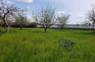 Einfamilienhaus kaufen in 99867 Gotha, Gotha - Hochwertiges, Kernsaniertes Einfamilienhaus mit Fußbodenheizung und Einliegerwohnung in Gotha, OT