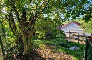 Einfamilienhaus kaufen in 64750 Lützelbach, Lützelbach / Breitenbrunn - Gemütliches Häuschen mit Scheune und Garten