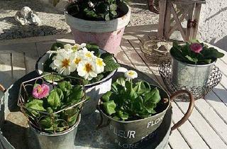 Haus kaufen in 90596 Schwanstetten, Schwanstetten - Große und kleine Familien finden hier das ideale Haus