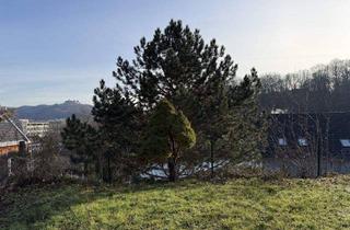 Einfamilienhaus kaufen in 96450 Coburg, Coburg - Entkerntes Einfamilienhaus mit Einliegerwohnung in Coburg!