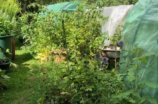 Haus kaufen in 96163 Gundelsheim, Gundelsheim - Gartengrundstück in der Natur bei Gundelsheim Bamberg