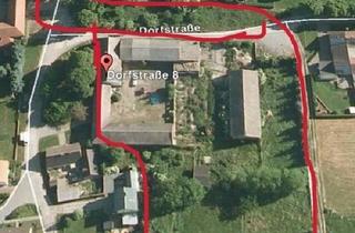 Einfamilienhaus kaufen in 14913 Jüterbog, Jüterbog - Pferdehof mit Potenzial zu verkaufen