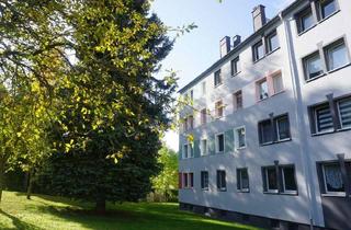 Wohnung kaufen in 09465 Sehmatal-Cranzahl, Zur Kapitalanlage-3 Eigentumswohnungen in Cranzahl
