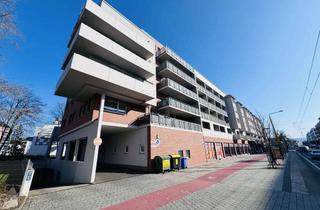 Wohnung kaufen in Schandauer Straße 23c, 01309 Striesen-West, provisionsfreie 2-Zimmer Wohnung in Dresden Striesen-Süd