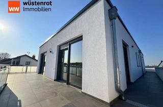 Penthouse kaufen in 55232 Alzey, Erstbezug: Helles Penthouse mit privatem Treppenhaus, XL-Dachterrasse und Stellplatz...