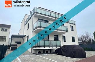 Penthouse kaufen in 55232 Alzey, Erstbezug: Helles Penthouse mit privatem Treppenhaus, XL-Dachterrasse und Stellplatz...