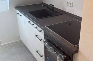 Wohnung mieten in Bahnhofstraße 21, 74248 Ellhofen, Frisch sanierte 2-Zimmer Wohnung in Ellhofen